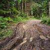 muddy, washed out road